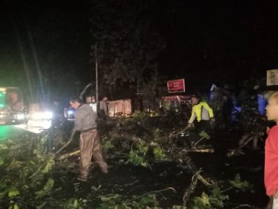 tni-polri-evakuasi-pohon-tumbang-di-jalur-pantura