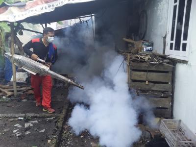 pengasapan-di-daerah-endemik-db