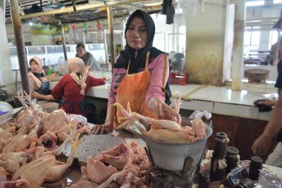HARGA AYAM POTONG NAIK
