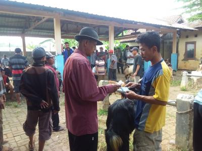 TRANSAKSI JUAL BELI KAMBING