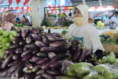 HARGA TERONG TURUN
