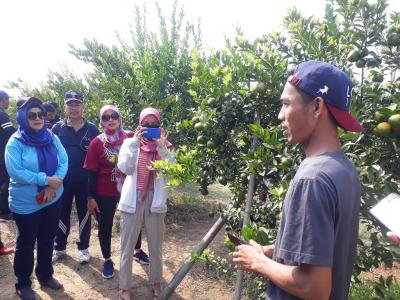 KEBUN JERUK SEBAGAI WISATA EDUKASI