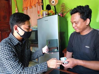 BELI IKAN GUPPY AF PLATINUM