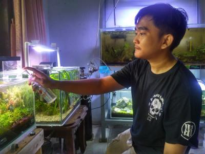 BERI PUPUK CAIR TANAMAN AIR 