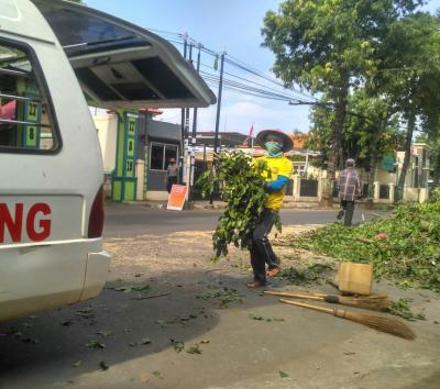 ambil-daun-untuk-dijadikan-pupuk