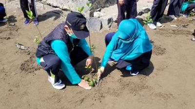 jaga-kelestarian-dengan-tanam-cemara