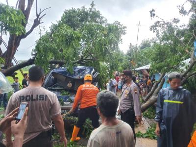 Polisi Bersama BPBD Lakukan Evakuasi Pohon Tumbang