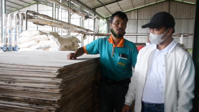 New Normal, Perusahan Plywood di Batang Ekspor ke Singapura