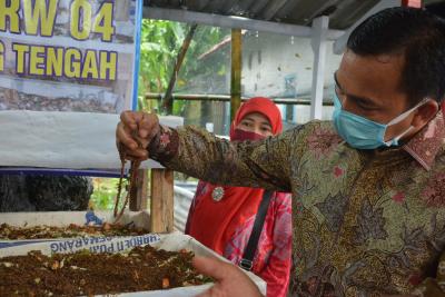 tinjau-budidaya-cacing