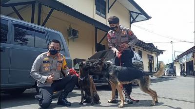 Tingkatkan Keamanan, Mapolres Batang Terjunkan K-9