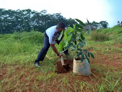 Lestarikan Alam, Pakubara-Lapas Batang Tanam Bibit Buah