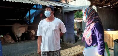 Peternak Pilih Penjualan Konvensional Daripada Virtual
