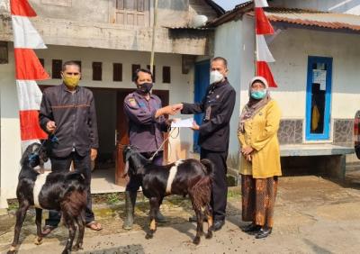 sambut-muharram-pudam-sendang-kamulyan-sumbang-kambing
