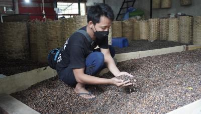 LIHAT KONDISI BIJI MELINJO