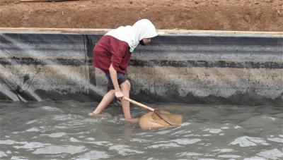 TANGKAP IKAN DI TAMBAK