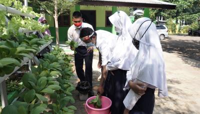 PANEN SAYURAN HIONIK