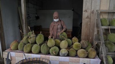 JUAL DURIAN LOKAL