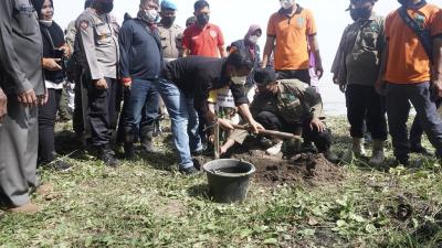 Bupati Batang Tanam Mangrove di Pantai Roban Timur Upaya Meminimalisir Abrasi Laut