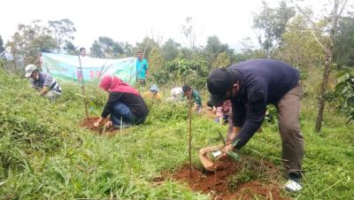 dlh-batang-80-ribu-hektar-masuk-kategori-lahan-kritis