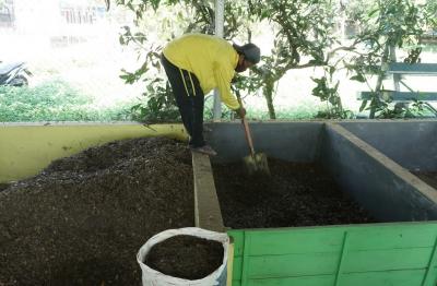 daun-jati-jadikan-pupuk-organik