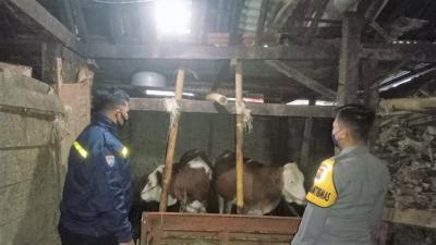 Polres Batang Kerahkan Bhabinkamtibmas Cegah Penyebaran PMK