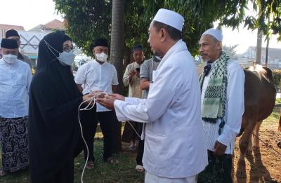 Puluhan Hewan Kurban Dipastikan Bebas PMK