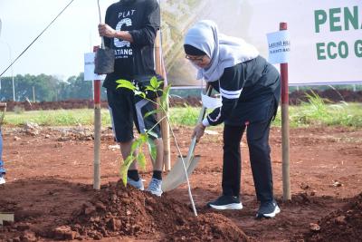 TANAM POHON TREMBESI