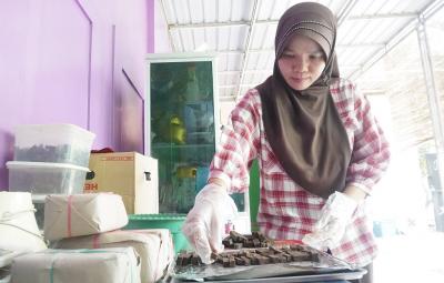 LETAKKAN TERASI ke LOYANG