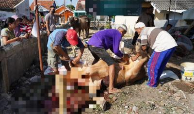 Dislutkanak Batang Siap Kawal Proses Sertifikasi Juleha