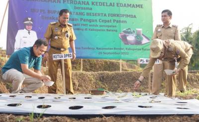 TANAM KEDELAI EDAMAME