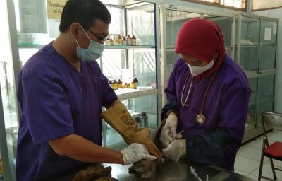 SUNTIK RABIES HEWAN PELIHARAAN