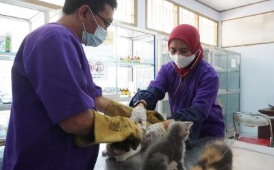 PERIKSA KESEHATAN HEWAN PELIHARAAN