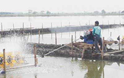 MESIN POMPA UDARA KERAMBA IKAN