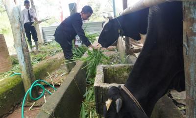 SMK Peternakan Lembah Hijau Batang, Pertama Jadi Sentra Kewirausahaan Pemuda di Indonesia