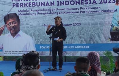 DAUN HINGGA AKAR BERMANFAAT