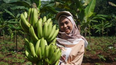 Petani Milenial Batang, Dapatkan Banyak Benefit Setelah Berhasil Kembangkan Pisang
