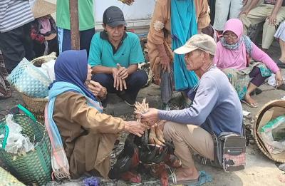 Penjualan Ayam dan Itik Membaik Jelang Lebaran