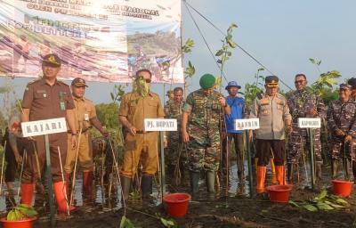 1.000 Mangrove Ditanam Serentak Secara Nasional