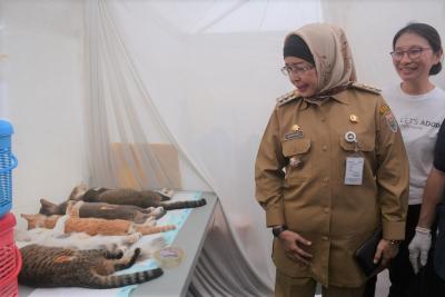 LIHAT HEWAN di SETERIL