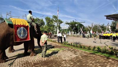 HUT RI Ke-78, Satwa Taman Safari Beach Jateng Ikut Upacara Bendera