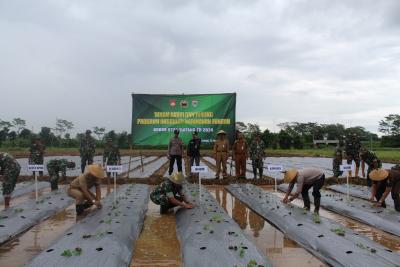 Antisipasi Jamur, Kodim Batang Kawal Penanaman Bibit Cabai