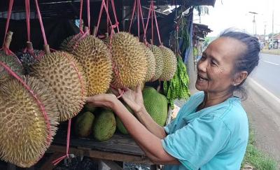 Pantura Tulis, Jadi Pilihan Penikmat Si Raja Buah