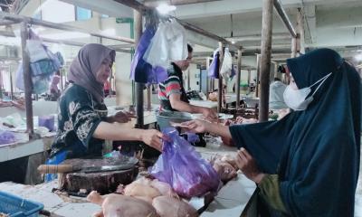harga-ayam-potong-meroket