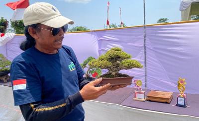 Pameran Bonsai di Batang Ditawar Seharga Mobil dan Rumah