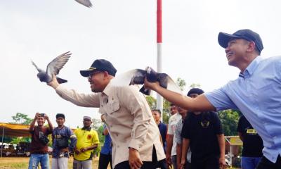 Berhadiah Rp150 Juta, Lomba Merpati Kolong di Batang Diikuti Ribuan Peserta