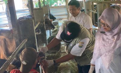 Pemeriksaan Hewan Kurban di Batang Digencarkan Jelang Iduladha