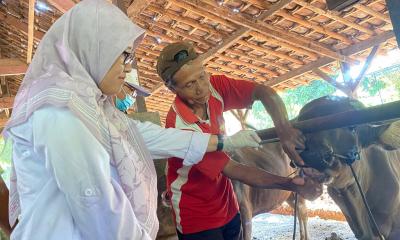 PERIKSA KESEHATAN HEWAN