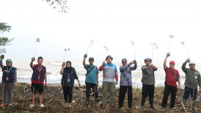 Lestarikan Pesisir Roban Timur, PLTU Batang Tanam Ribuan Mangrove