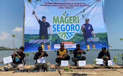 Tangani Rob dan Abrasi, 1,3 Juta Bibit Mangrove Ditanam di Batang dalam Program Mageri Segoro