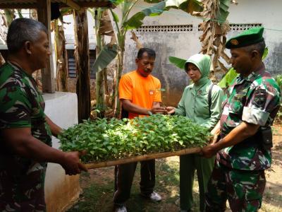 TNI Ajak Masyarakat Tanam Cabai di Polybag
